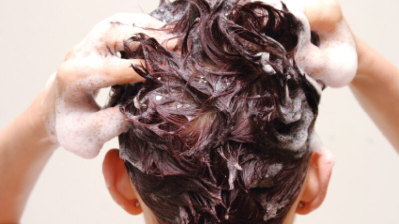 The Fungus That Causes Dandruff