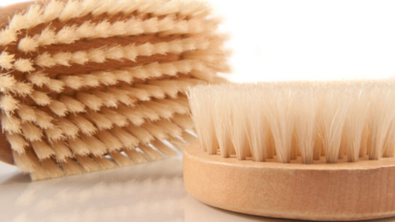 Body Brushing or Dry Brushing – Worth It?