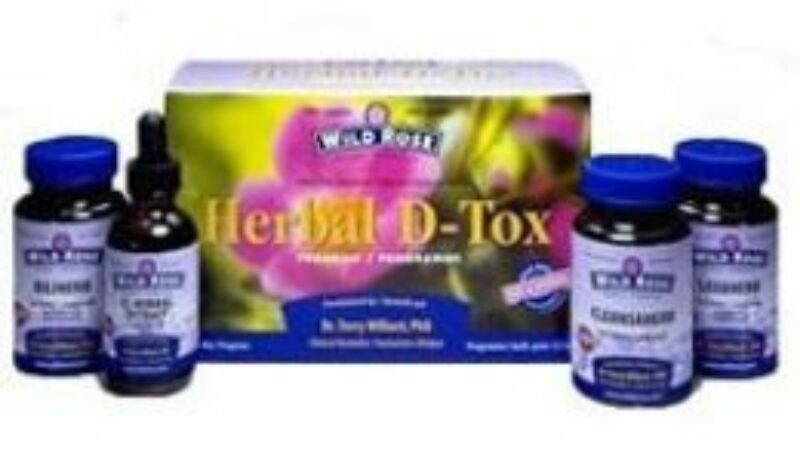 Wild Rose Herbal Detox for Great Skin