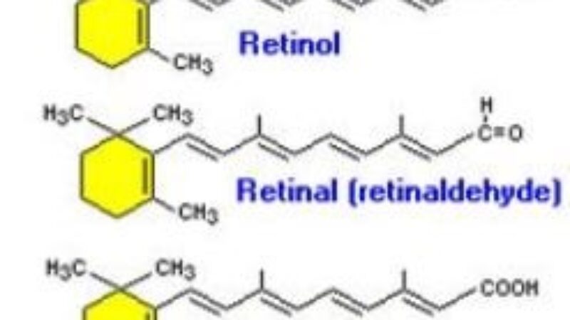Retinaldehyde (Retinal): Your Skin Will Love It!