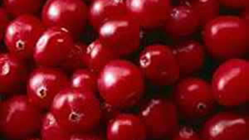 Cranberries in Skin Care