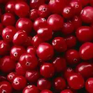 You are currently viewing Cranberries in Skin Care