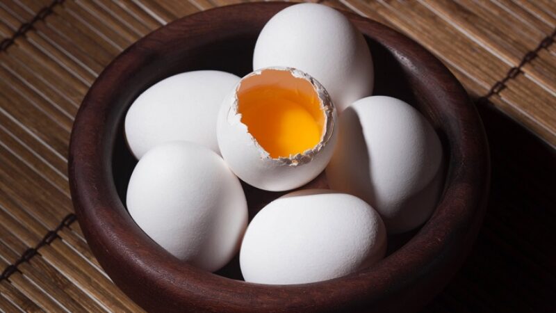 Egg Based Skin Care
