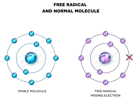 What Free Radicals due to skin
