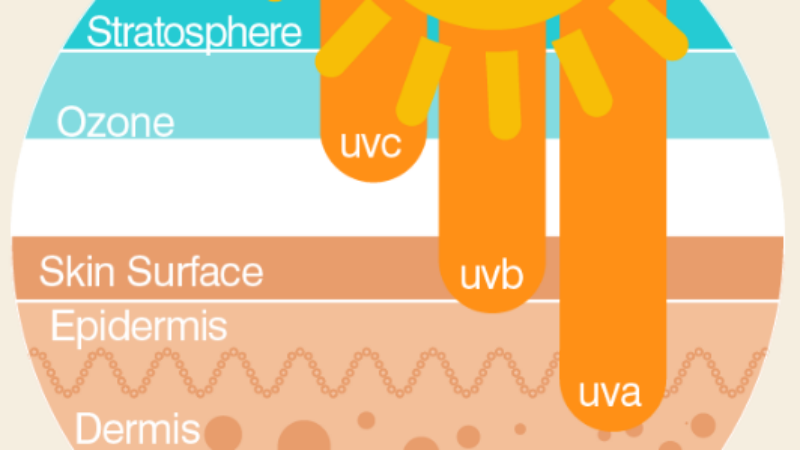 All About UV Rays