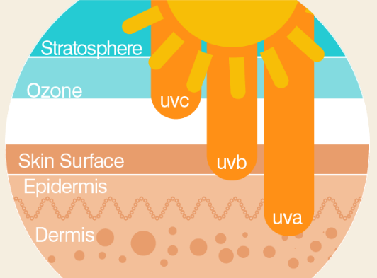 UV Rays