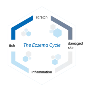Eczema Cycle